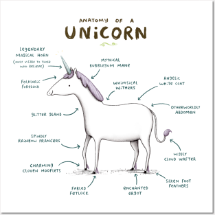 Anatomy of a Unicorn Posters and Art
